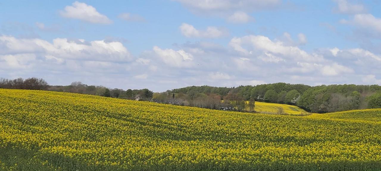 Ferienwohnung Wikingerland Langballig Esterno foto