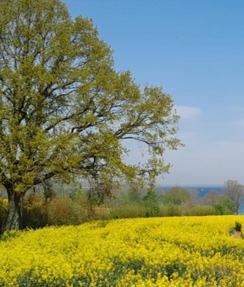 Ferienwohnung Wikingerland Langballig Esterno foto